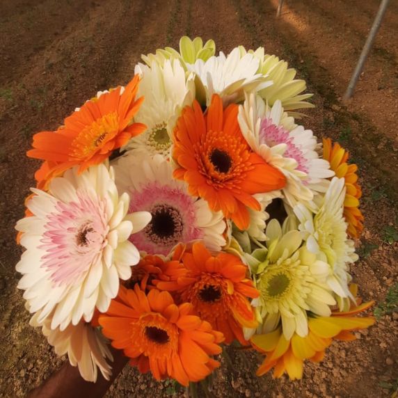 Farmer carrying Flower